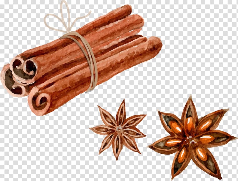 brown cinnamon illustration, Euclidean Watercolor painting Star anise, Hand-painted perfume transparent background PNG clipart