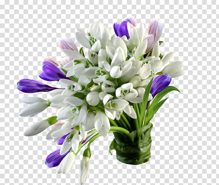 Snowdrop Desktop Flower Portable Network Graphics, flower transparent background PNG clipart