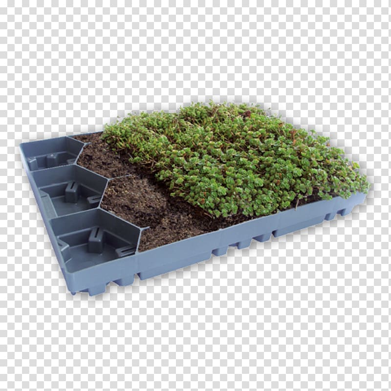 Green roof Window Blinds & Shades Plastic Flat roof, others transparent background PNG clipart