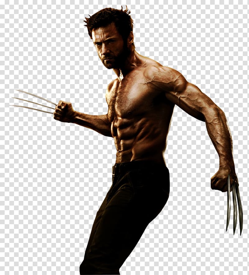 Wolverine Desktop , Wolverine transparent background PNG clipart