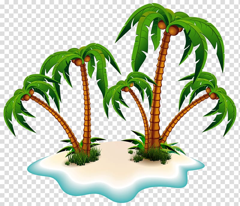 Arecaceae Island Tree , palm tree transparent background PNG clipart