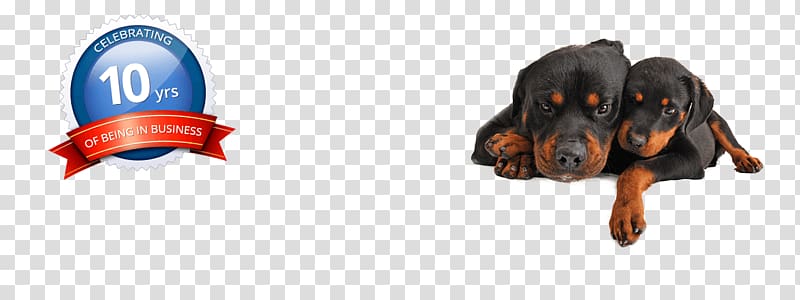 Rottweiler Pet sitting Puppy Dog grooming Microchip implant, dog bath transparent background PNG clipart