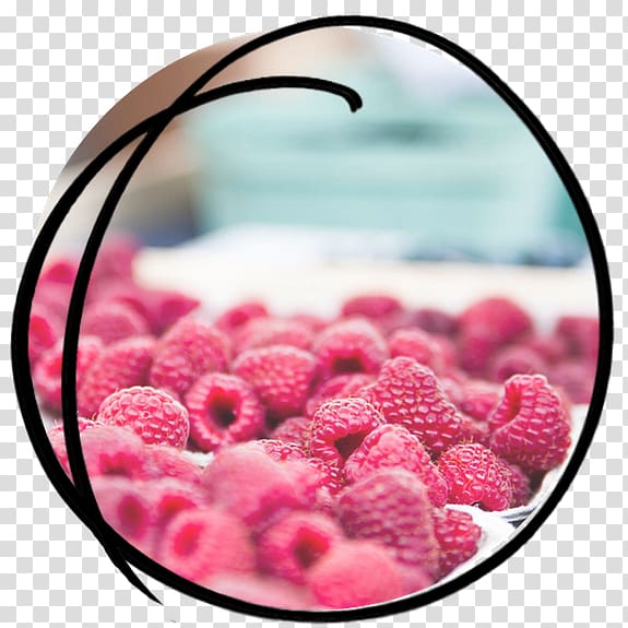 Sorbet Raspberry Food Fruit, food styling transparent background PNG clipart