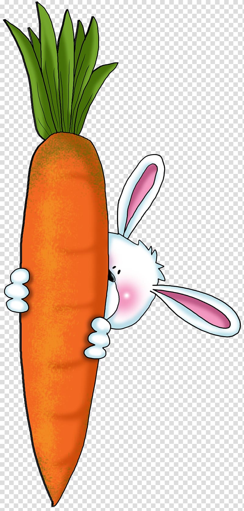 Carrot cake Vegetable Rabbit Drawing, bun transparent background PNG clipart