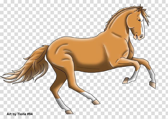 Mane Foal Stallion Colt Mare, mustang transparent background PNG clipart