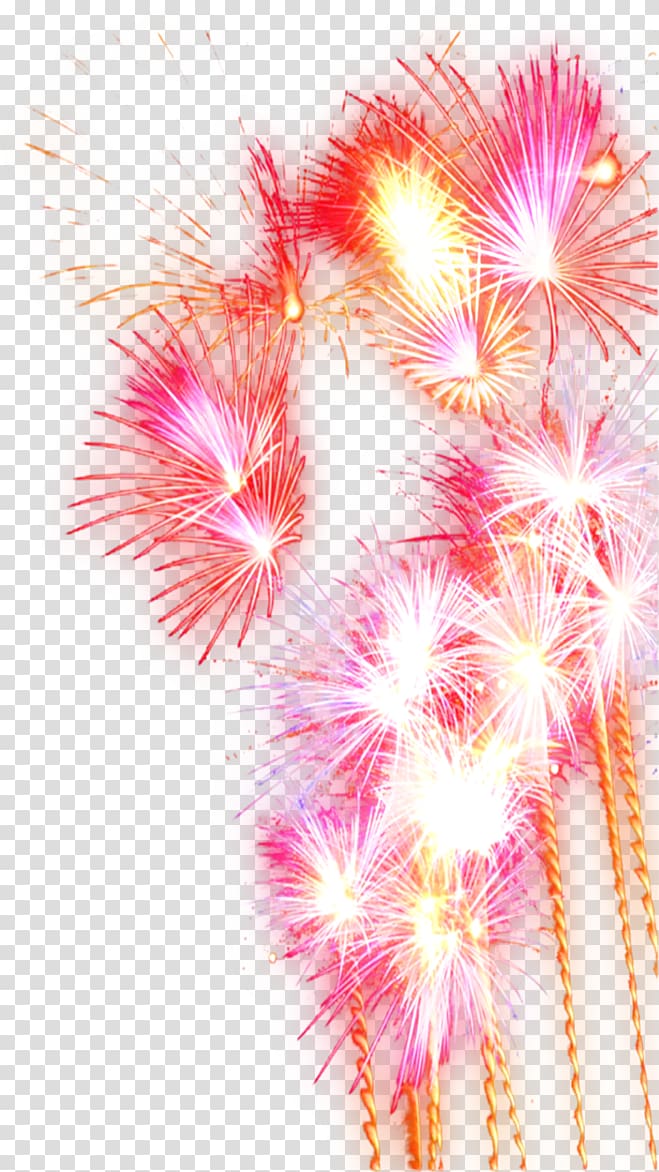 Fireworks Festival Pyrotechnics, Fireworks Festival transparent background PNG clipart