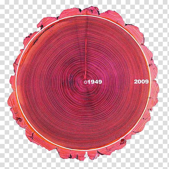 Graphic design, Tree rings transparent background PNG clipart