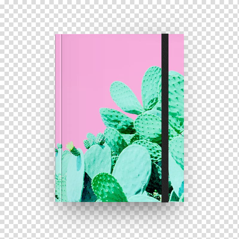 Paper Cactaceae Towel Cactus garden Desert, cactus transparent background PNG clipart