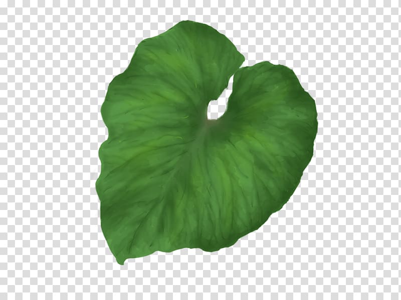 Leaf Icon , Green Leaf transparent background PNG clipart