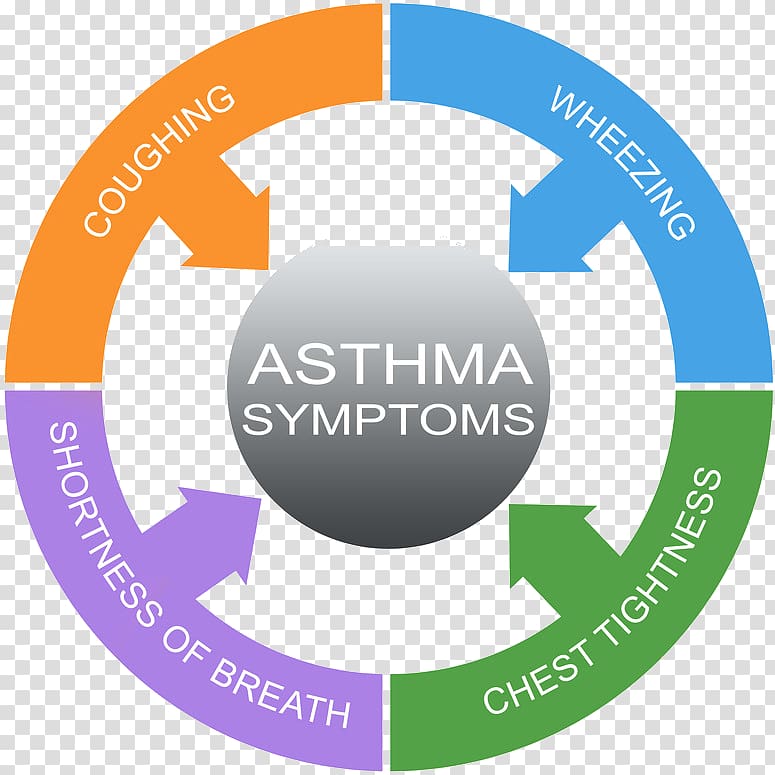 SWOT analysis Organization Strategic planning Consultant, bronchial asthma transparent background PNG clipart