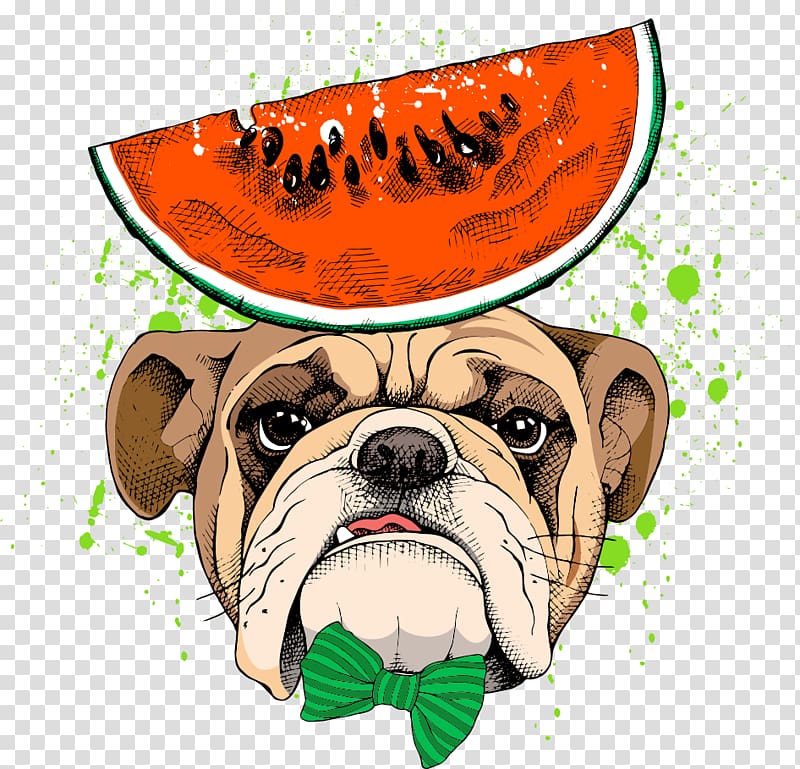 watermelon on dog , Pug Pet, Pug watermelon transparent background PNG clipart