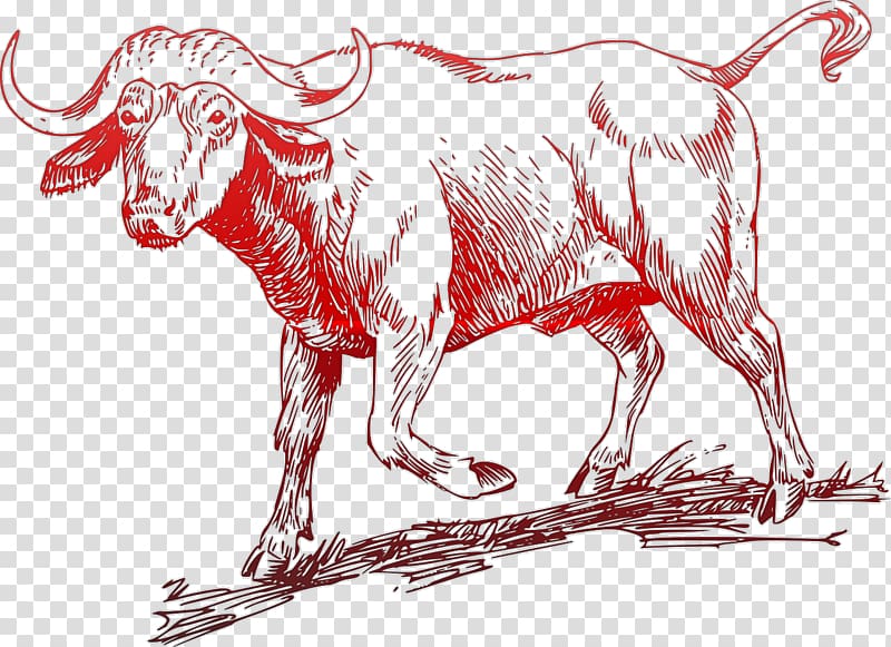 Ox Water buffalo Goat English Longhorn , goat transparent background PNG clipart
