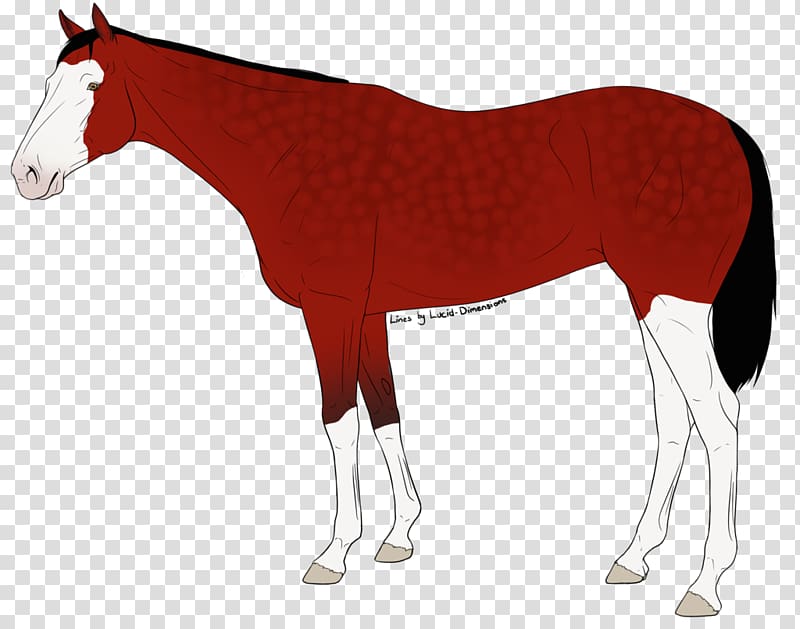 Mustang Stallion Foal Colt Mare, Davy jones transparent background PNG clipart