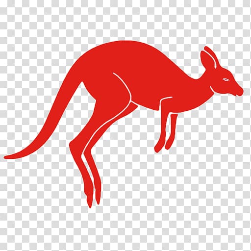 Kangaroo Dog Canidae Snout , kangaroo transparent background PNG clipart