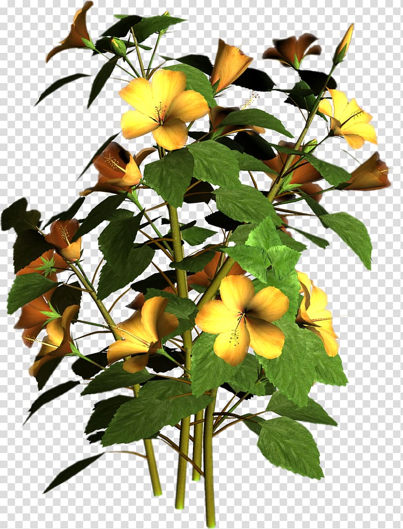 Flowering plant Flowering plant , plant transparent background PNG clipart Flowering plant Flowering plant , plant transparent background PNG clipart