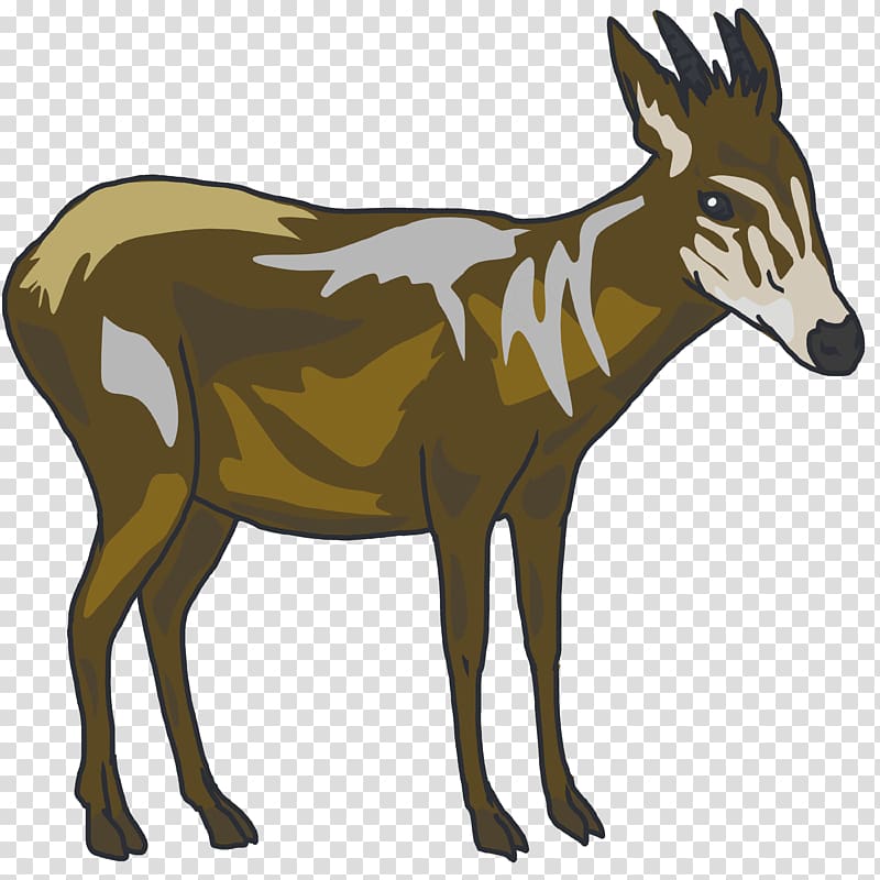 Elk Musk deers Donkey Antelope, donkey transparent background PNG clipart