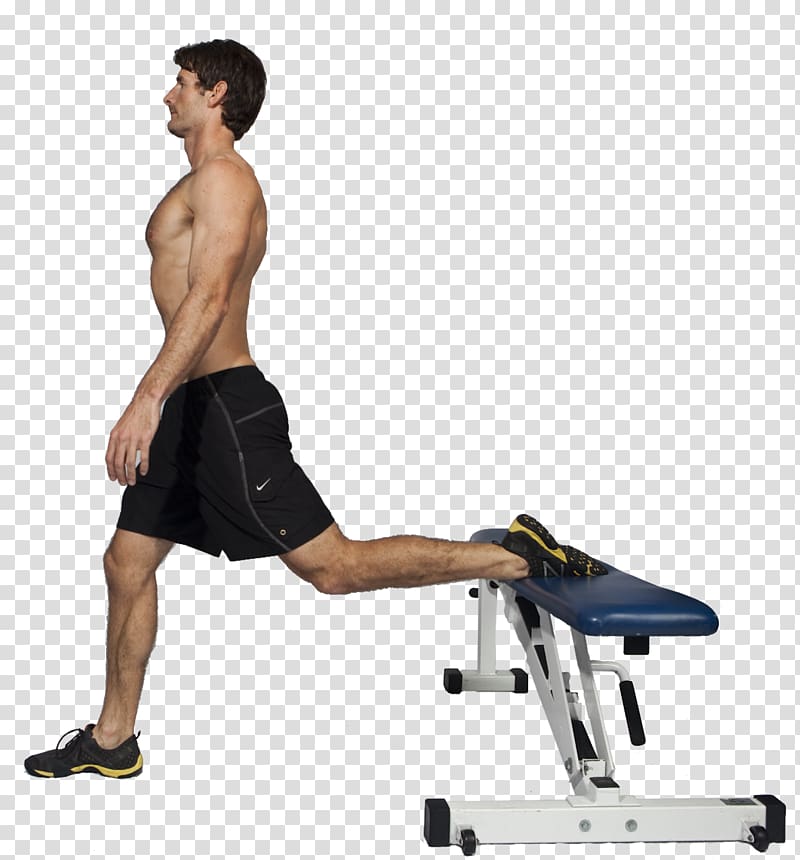 Physical fitness Bench Lunge Squat Exercise, dumbbell transparent background PNG clipart