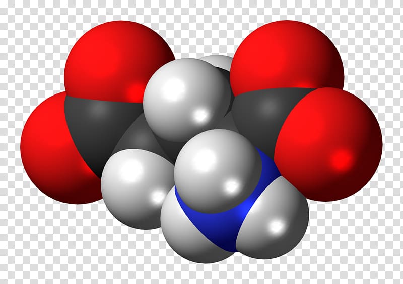 Glutamic acid Amino acid Space-filling model Zwitterion, others transparent background PNG clipart