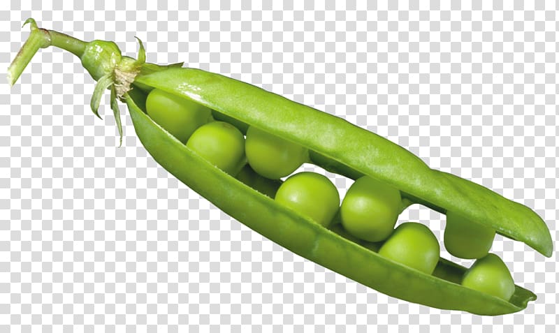 Pea , pea transparent background PNG clipart