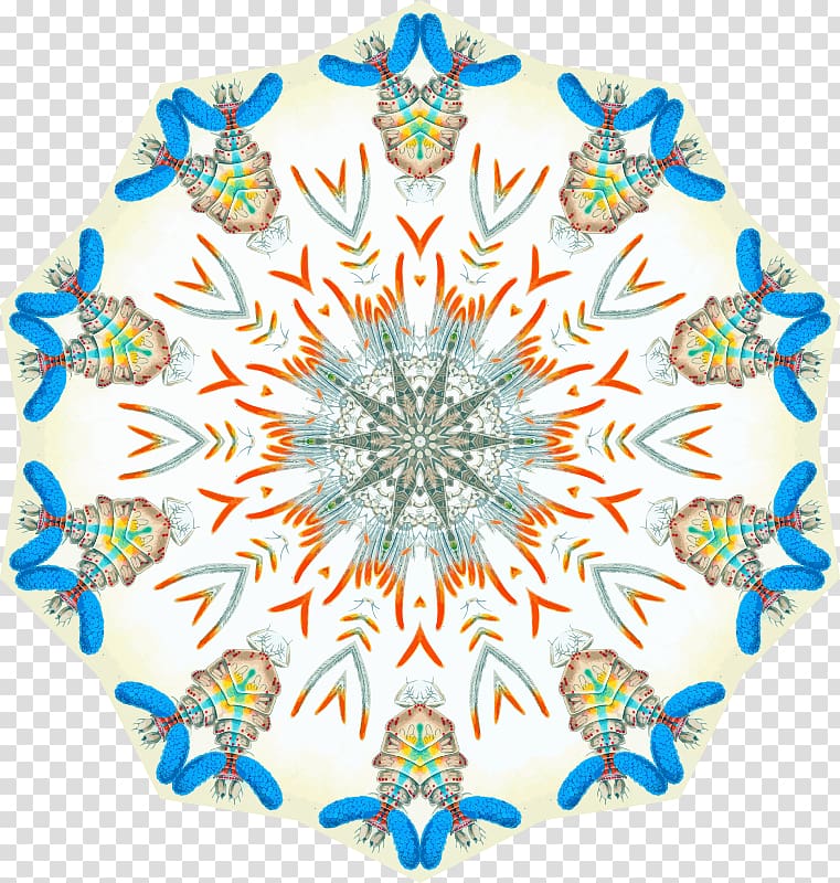 Paint.net, drawing symmetrical rosette transparent background PNG clipart