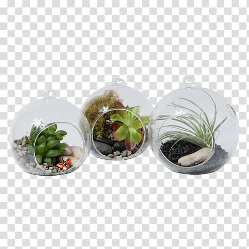 Garden Houseplant Watering Cans Flowerpot, suculent transparent background PNG clipart