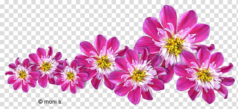 Flower bouquet Blume , flower transparent background PNG clipart