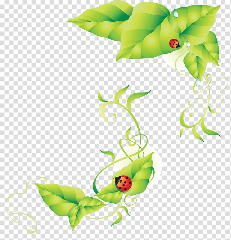 Ladybird, ladybug transparent background PNG clipart