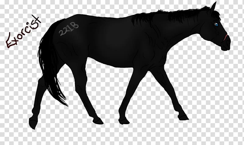 Mustang Stallion Mare Rein Horse Harnesses, mustang transparent background PNG clipart