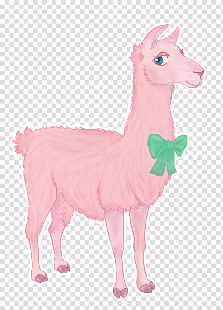 Llama Alpaca Pink Pattern, Llama Outline transparent background PNG clipart