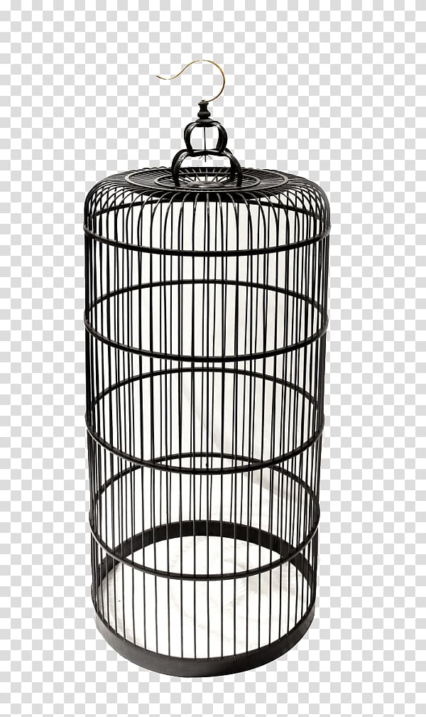 Birdcage Birdcage Iron cage, Iron cage transparent background PNG clipart