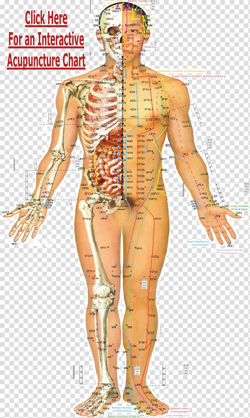 report findings of acupuncture healing