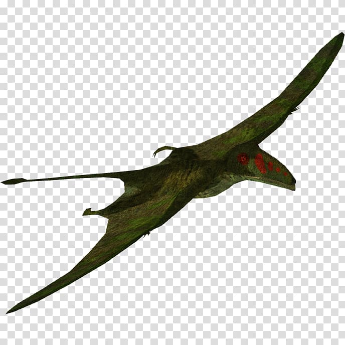 Zoo Tycoon 2 Dimorphodon Pterosaurs Stegosaurus Ankylosaurus, jurassic world transparent background PNG clipart