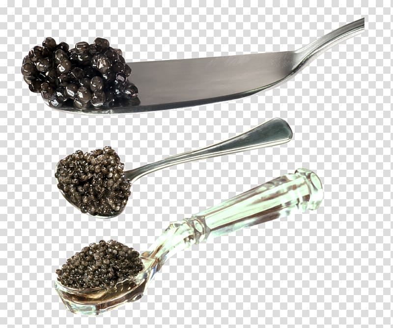 Beluga caviar Butterbrot Roe Red caviar, Caviar material Free transparent background PNG clipart