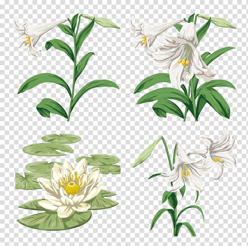 Lilium Graphic style Graphic design, design transparent background PNG clipart