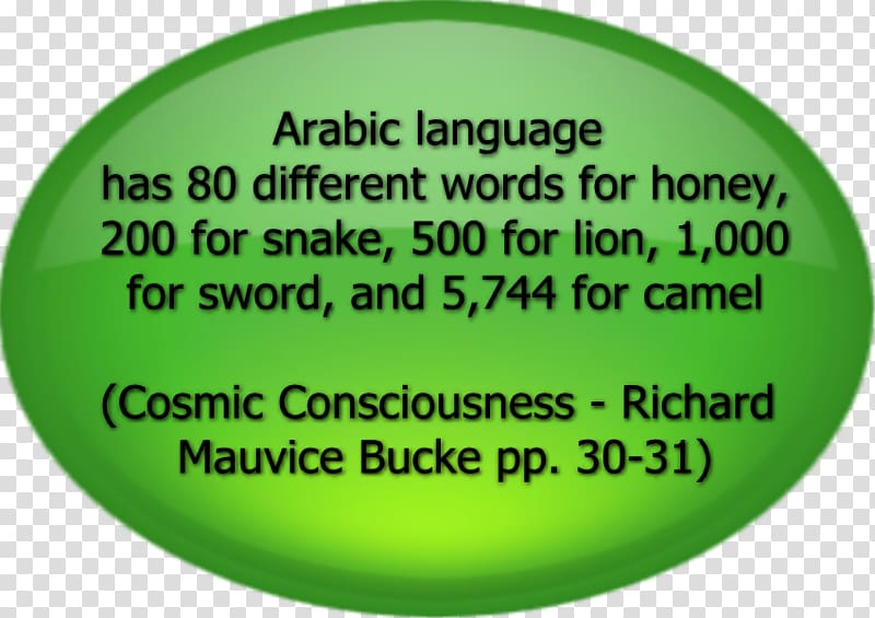 Quran Arabic Language Hadith Word, islamic language transparent background PNG clipart