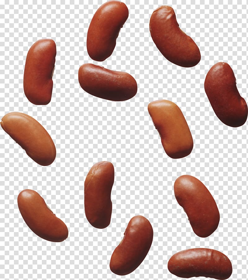 Common Bean Kidney bean Pea Food, kidney transparent background PNG clipart