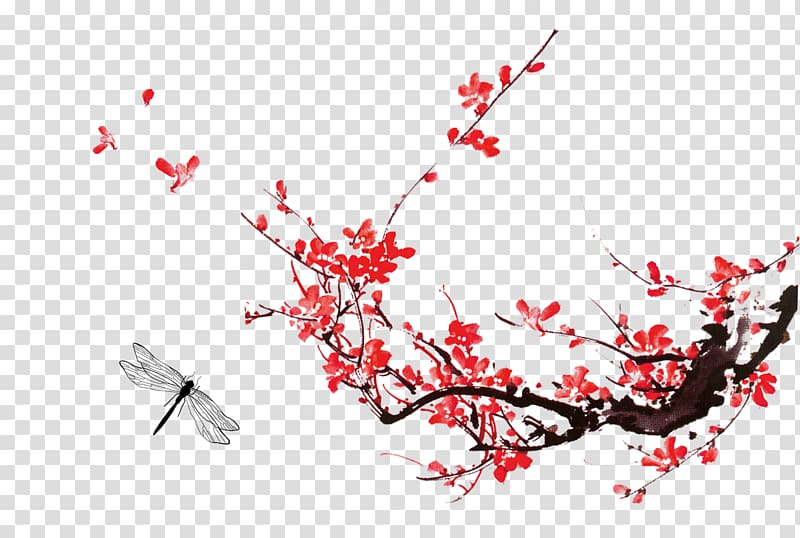China Plum blossom If(we), Plum flower transparent background PNG clipart