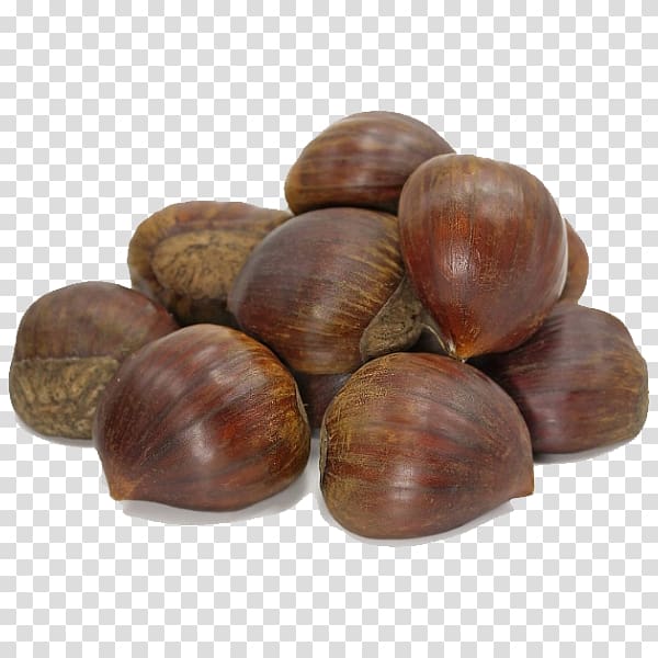 Dried Fruit Hazelnut Nuts, chestnut transparent background PNG clipart