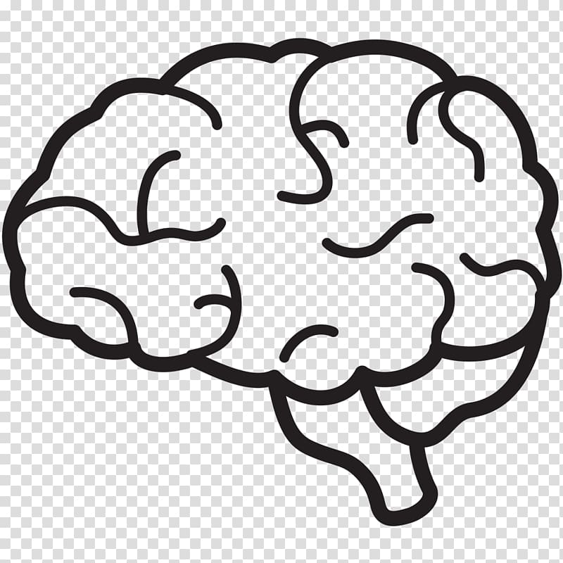 brain illustration, Human brain Free content , Brain transparent background PNG clipart