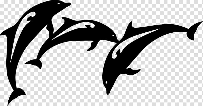 Spinner dolphin Wall decal Sticker , dolphin transparent background PNG clipart