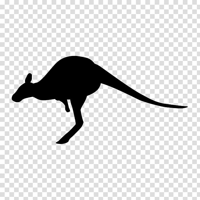 Macropodidae Silhouette Marsupial , Silhouette transparent background PNG clipart