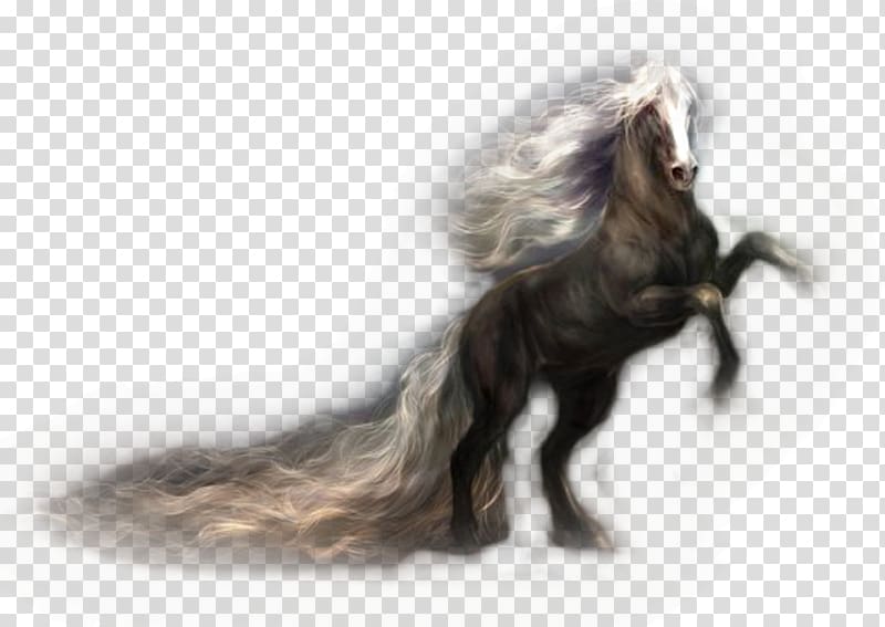 Desktop Criollo horse Black Dark Horse, dark horse transparent background PNG clipart