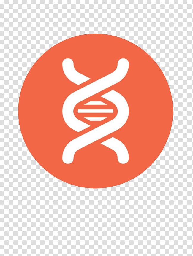 DNA transparent background PNG clipart