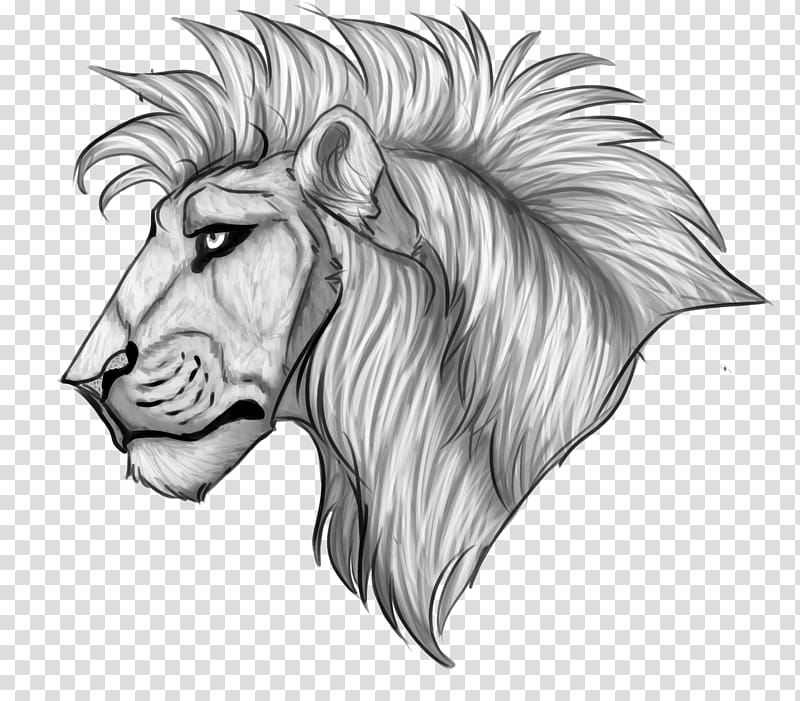 Drawing Cat Mammal, Lions Head transparent background PNG clipart