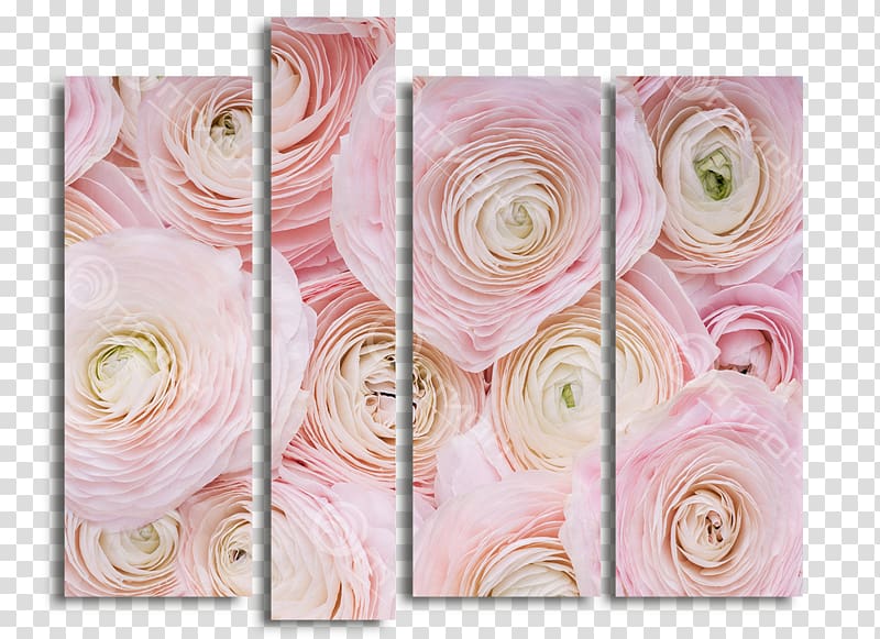 Acrylic paint Frames painting Floral design Pattern, kartini transparent background PNG clipart