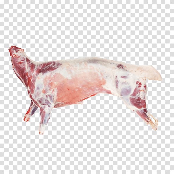 Sheep Goat meat Lamb and mutton Leg, sheep transparent background PNG clipart