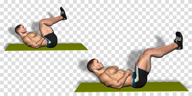 Crunch Abdomen Physical fitness Exercise Thigh, others transparent background PNG clipart