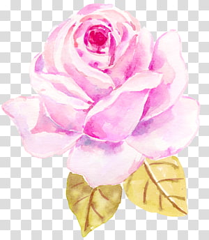 watercolor flowers flowers transparent background PNG clipart thumbnail