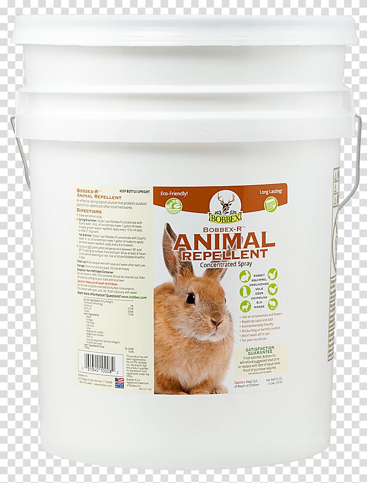 Domestic rabbit Squirrel Animal repellent Household Insect Repellents Groundhog, squirrel transparent background PNG clipart