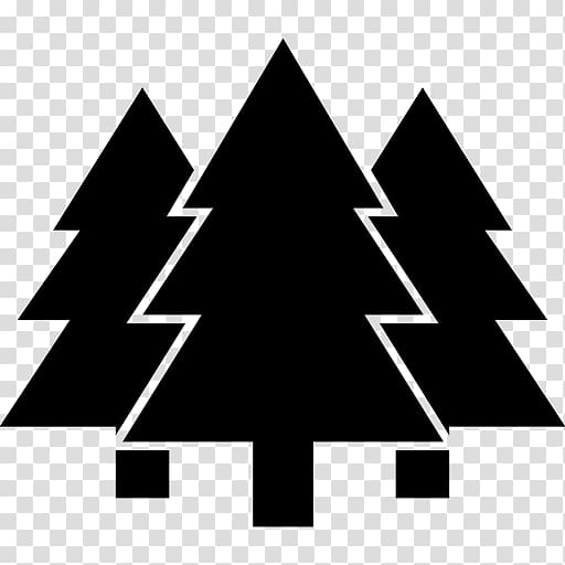Computer Icons Temperate coniferous forest, woods transparent background PNG clipart